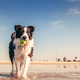 Illustration for article titled 39 *Scratchy Scratchy* Photos of Dogs